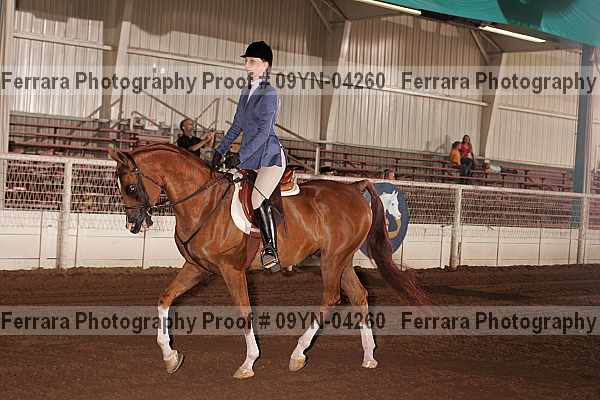 Proof 09yn-04260