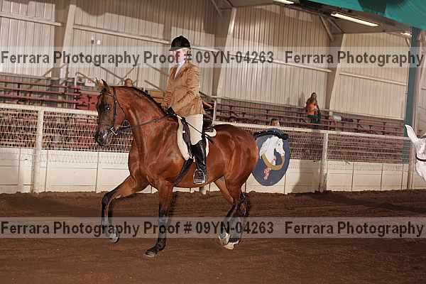 Proof 09yn-04263