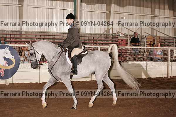 Proof 09yn-04264