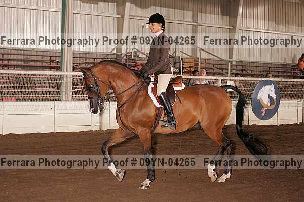 Proof 09yn-04265