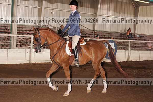 Proof 09yn-04266