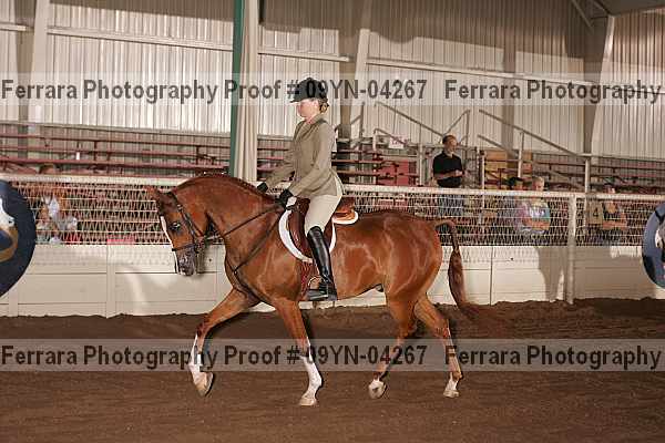 Proof 09yn-04267