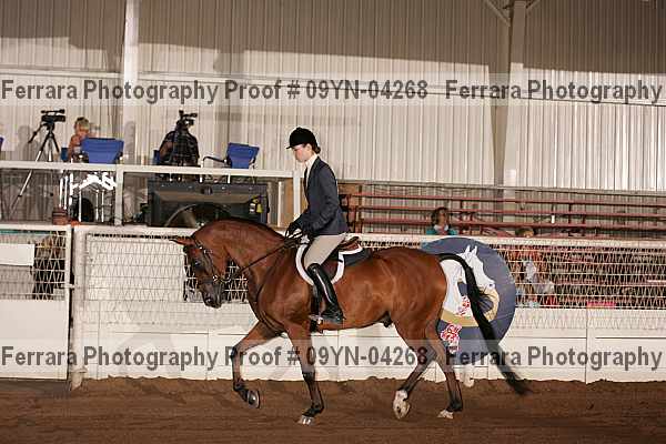 Proof 09yn-04268