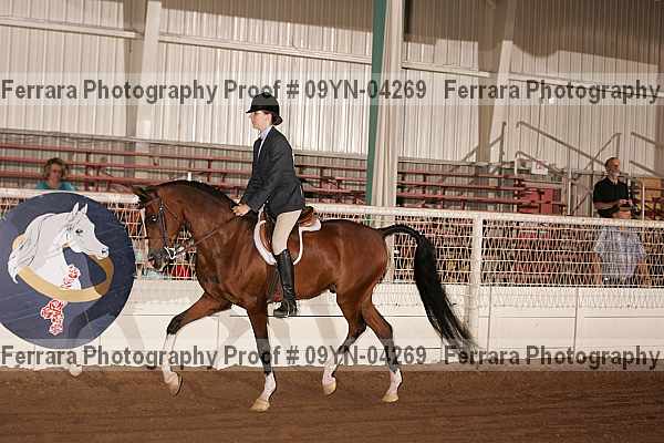 Proof 09yn-04269