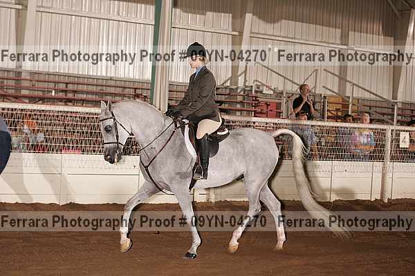Proof 09yn-04270
