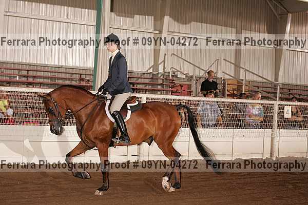 Proof 09yn-04272