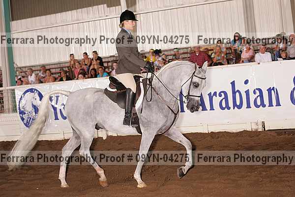 Proof 09yn-04275