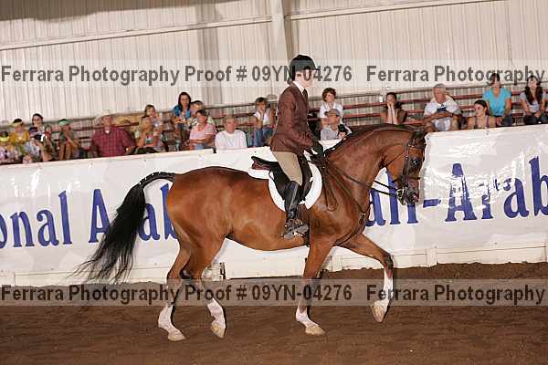 Proof 09yn-04276