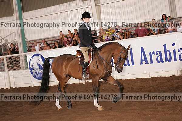 Proof 09yn-04278