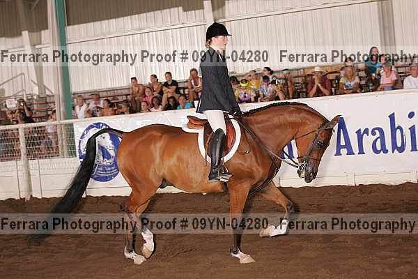 Proof 09yn-04280