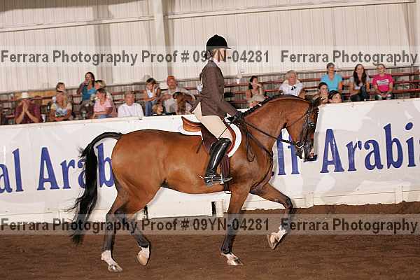 Proof 09yn-04281