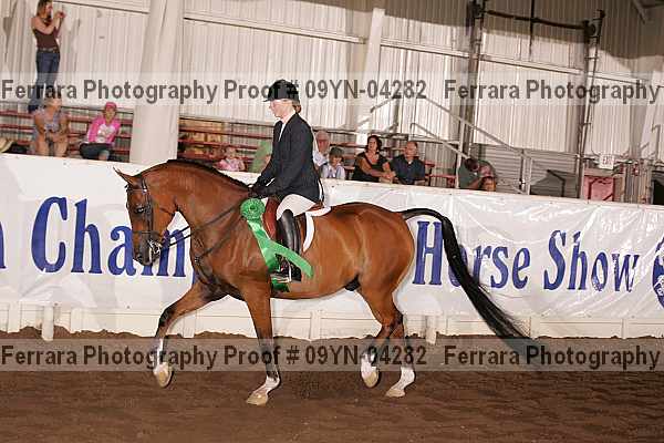 Proof 09yn-04282