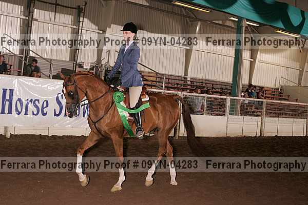 Proof 09yn-04283