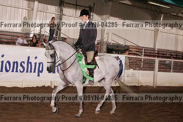 Proof 09yn-04285