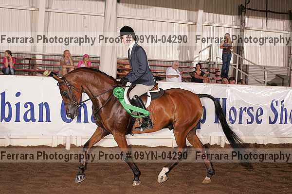 Proof 09yn-04290