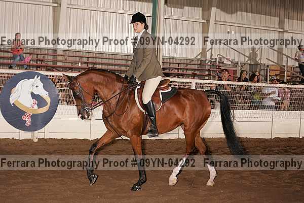 Proof 09yn-04292