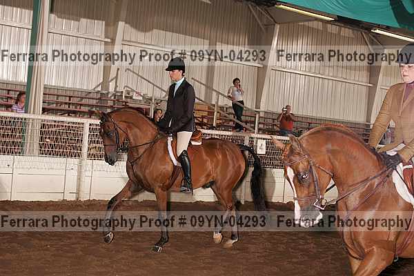 Proof 09yn-04293