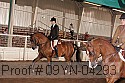 09yn-04293 proof