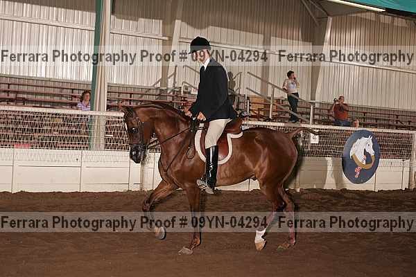 Proof 09yn-04294