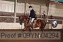 09yn-04294 proof
