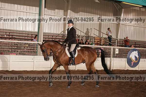 Proof 09yn-04295