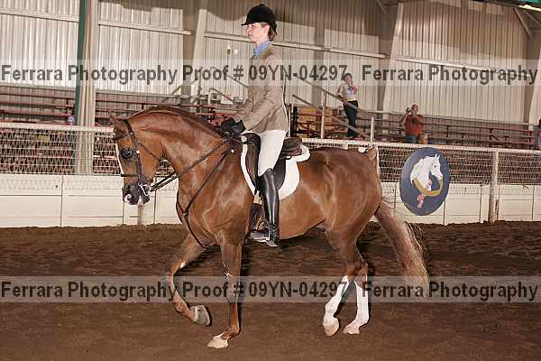 Proof 09yn-04297