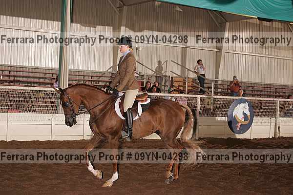 Proof 09yn-04298