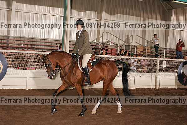 Proof 09yn-04299