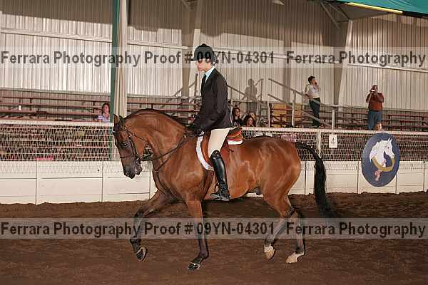 Proof 09yn-04301