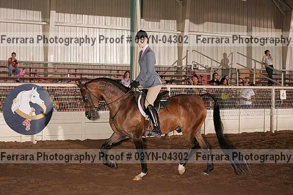 Proof 09yn-04302