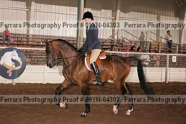 Proof 09yn-04303