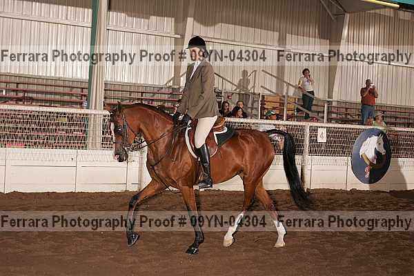 Proof 09yn-04304