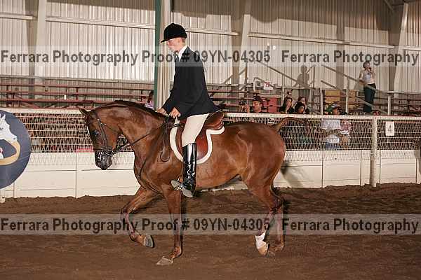 Proof 09yn-04305