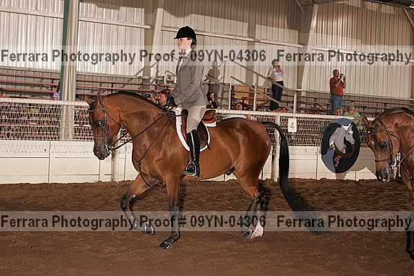 Proof 09yn-04306