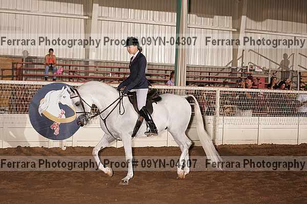 Proof 09yn-04307