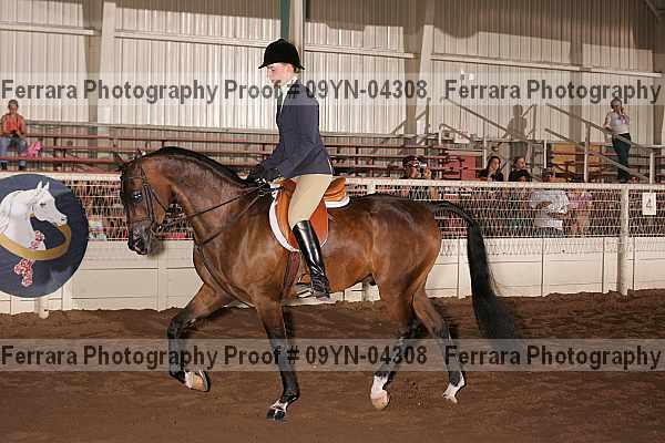 Proof 09yn-04308