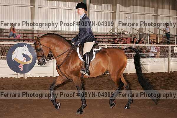 Proof 09yn-04309