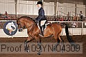09yn-04309 proof