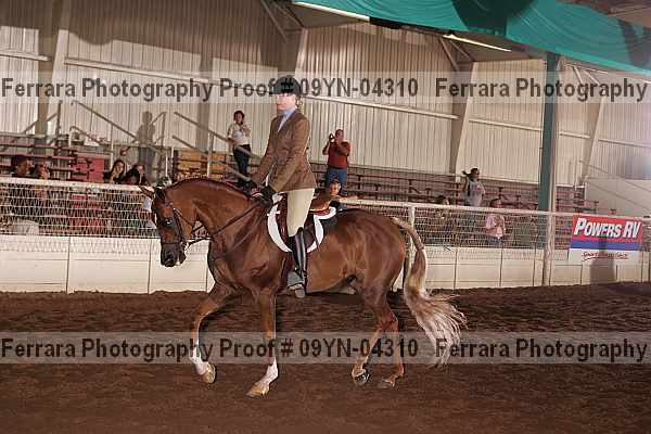 Proof 09yn-04310