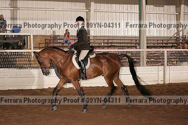 Proof 09yn-04311