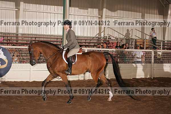 Proof 09yn-04312
