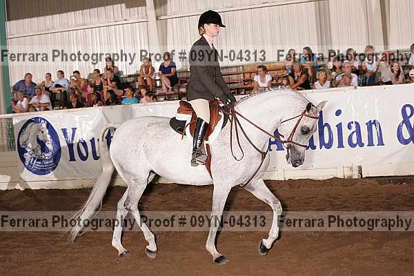 Proof 09yn-04313