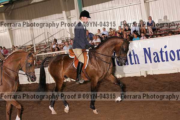 Proof 09yn-04315