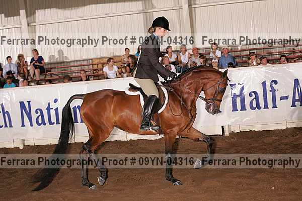 Proof 09yn-04316