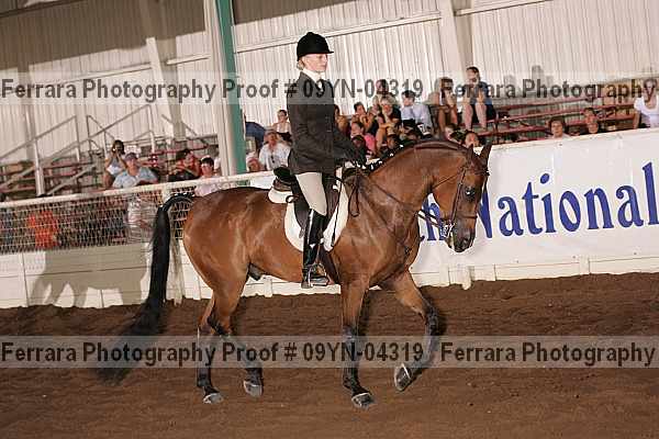 Proof 09yn-04319