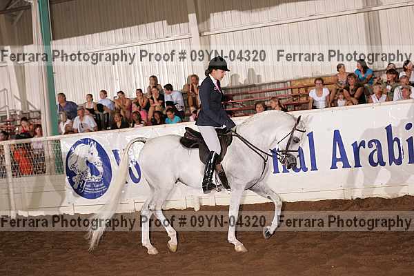 Proof 09yn-04320
