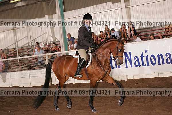 Proof 09yn-04321
