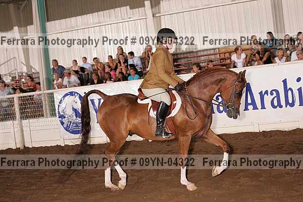 Proof 09yn-04322