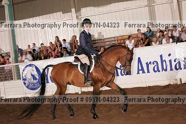 Proof 09yn-04323