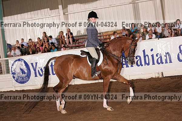 Proof 09yn-04324